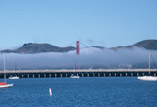 Golden Gate al mattino