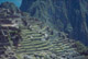 Le gradonature di Machu  Picchu