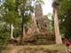 La foresta mangia i templi di Angkor