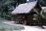 Tribù amazzoniche