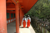 Nei templi di Nara