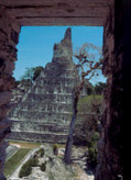 A Tikal