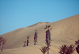 Il deserto del Namib