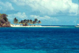 Sabbia e palme alle Tobago Cays