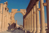 La Via Colonnata a Palmira