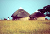 Villaggio Zulu