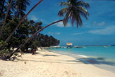 Spiaggia a Tobago